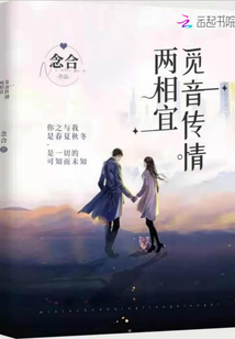 苏婳顾北弦离婚后她惊艳了世界全文免费阅读大结局